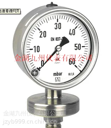 供应膜片压力表YP-100 OMVGAR