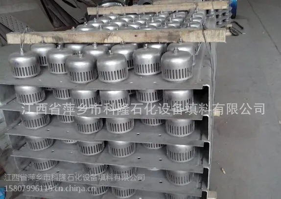 供应304泡罩塔板报价及成品图片