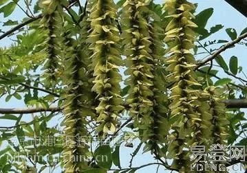 ��Ӧ����۸�/�������۸�����