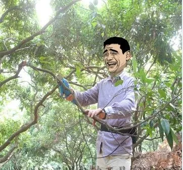 供应电动修枝剪刀