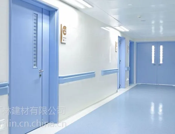 医用钢质门-病房钢制门-医疗钢制门 环林抗菌烤漆钢板整套门