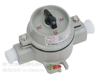 厂家直供 德力西SW-10 220V防爆照明开关 防爆转换开关