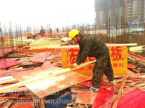 供应江北建筑模板价格网