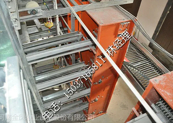 养鸡场专用自动化养鸡设备养殖设备鸡笼