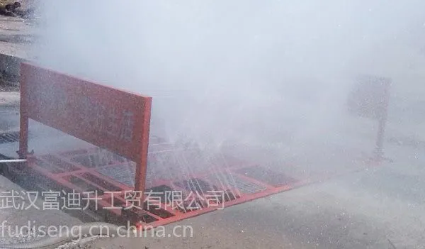 供应工程平板式洗轮机