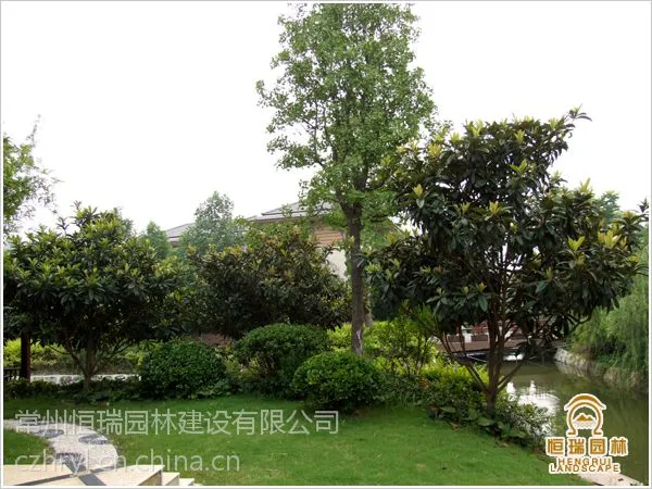 常州别墅庭院设计与施工 阳台花园设计与施工