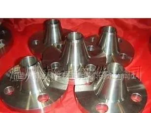 ��Ӧ904L ����ִ����Ժ����� WN Flange