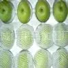供应山东冠县诚信果品加工厂专供山东冠县绿宝石梨出口级绿宝石梨