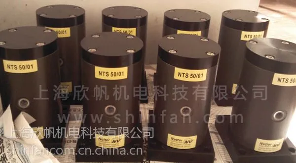 NTS50/01 NETTER 往复气动振动器