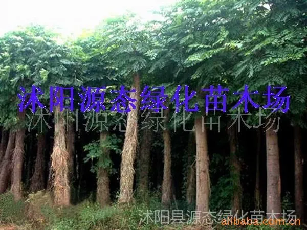 ��Ӧ��������������������˿��������������