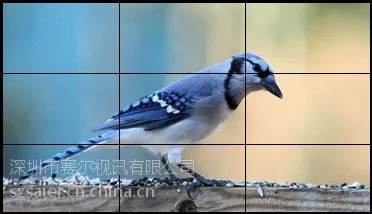 赛尔视讯高亮46寸超窄边液晶拼接屏
