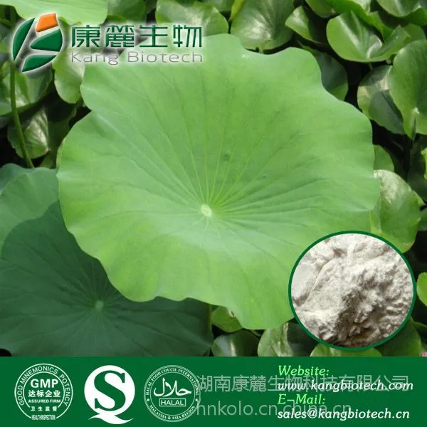 供应荷叶碱Nuciferin 98%