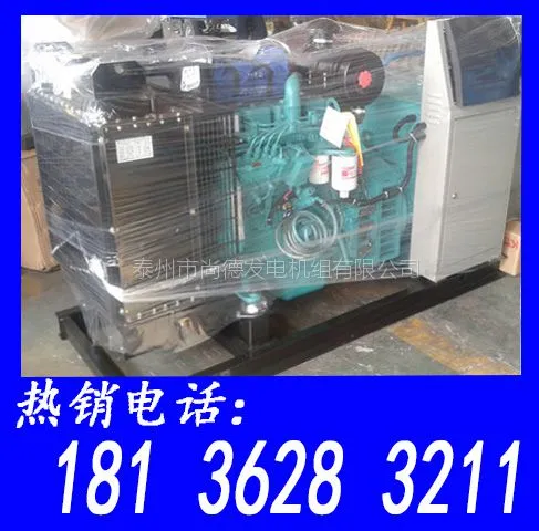 30kw康明斯柴油发电机组厂家直销