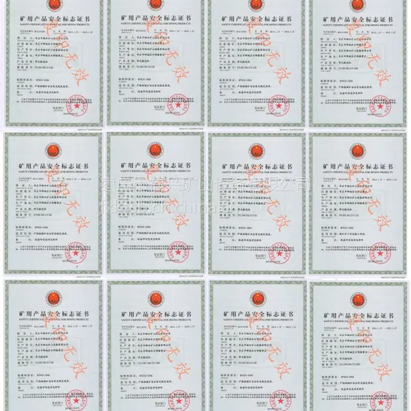 供应生产 供应 DTL带式输送机