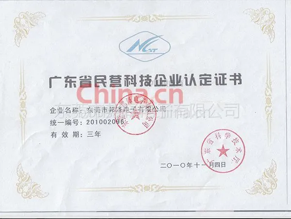 广东省民营科技企业认定证书