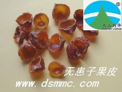 ��Ӧ�޻��ӹ���(��Ȼϴ����Ʒ��soapberry)