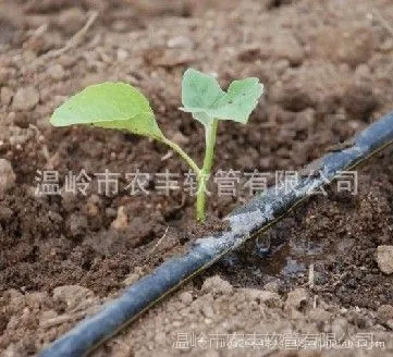 厂家供应内镶贴片式滴灌带 内镶式滴灌带价格 批发滴灌带0.2壁厚