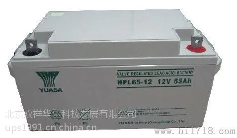 汤浅蓄电池NPL65-12 北京报价