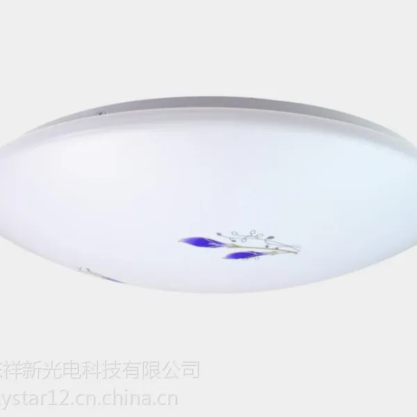 供应祥新光电 简约24W护眼LED吸顶灯