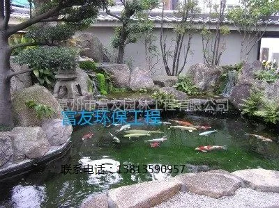 供应【太仓市户外锦鲤鱼池水净化、我们有办法】
