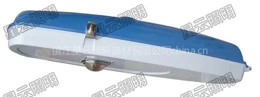 供应星成1号LED专利路灯