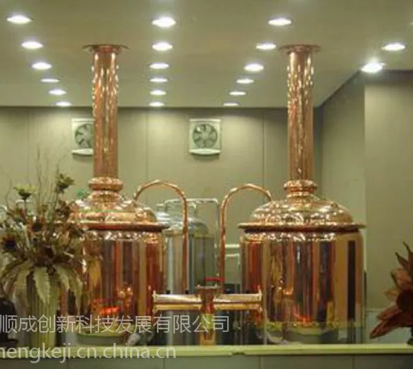 供应烧烤店精酿啤酒设备 烤肉自助现酿啤酒设备