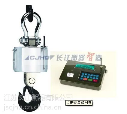 供应OCS-XS系列电子吊秤