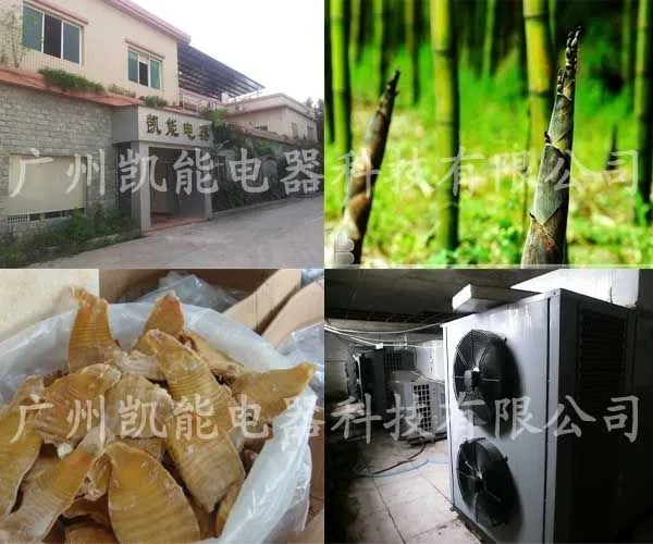供应竹笋烘干机,行业专用笋干烘干设备