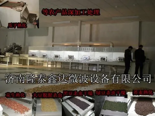供应五谷杂粮微波熟化杀虫设备