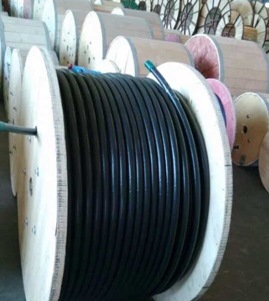 DJYJP3VP3/32-6X2X1.5���θ�˿��װ�Ǳ����£����������