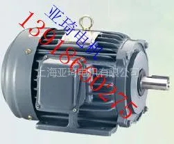 ��ӦAEEF90L-2-2HP-1.5KW|3-PHASE INDUCTION MOTOR(���