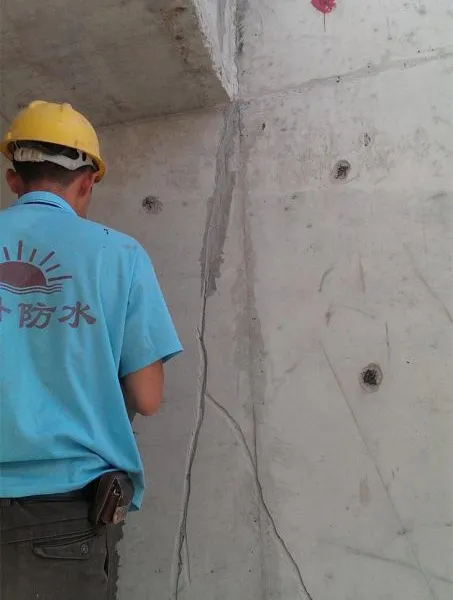 �����շ������ѷ�ר��Z6�ѷ��ո�