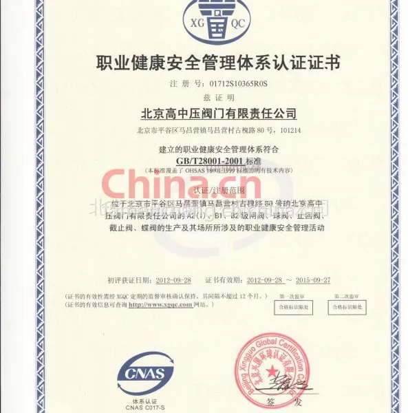 ISO14001:2004