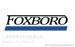 供应FBM13 DM400YP 上海福克斯波罗优质卡件低价供应