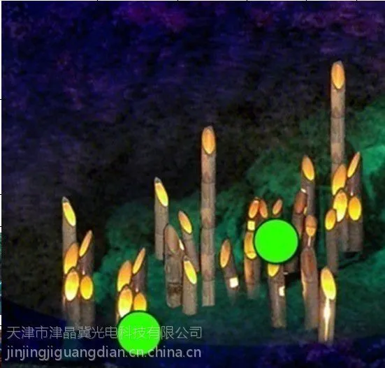 供应津冀光电 led造型灯 led景观灯 竹子造型灯 庭院灯 蜡烛灯 草坪灯