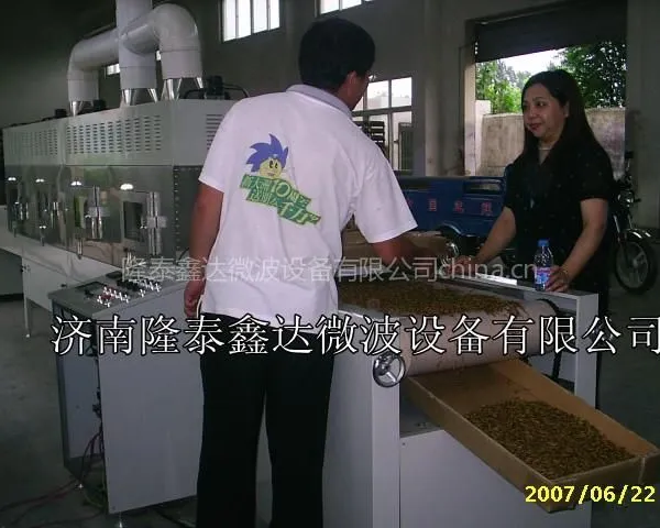 微波黄粉虫干燥设备