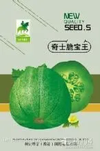 供应奇士脆宝王甜瓜种子绿皮绿肉
