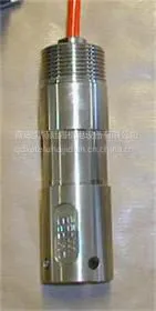 OMICRON船舱进水传感器WI-22