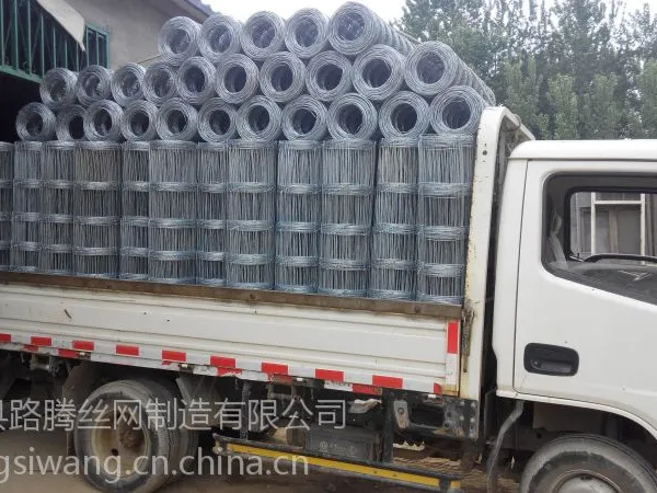 牛栏网_草原网_草原围栏_篱笆桩_y型桩_牛栏网机_牛栏网立柱