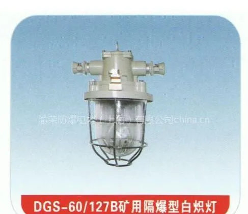 供应【矿用白炽灯DGS-60/127V(原KBB)系列】_