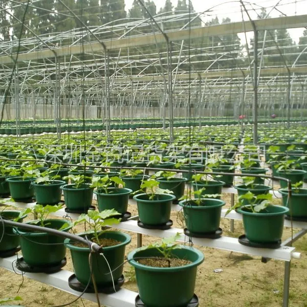 供应广东塑料花盆厂大量批发育苗花盆 圆形塑料花盆 塑料花盆批发