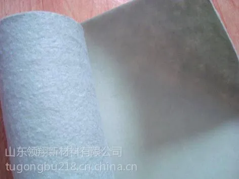 ��Ӧ��������Ĥ����������Ĥ