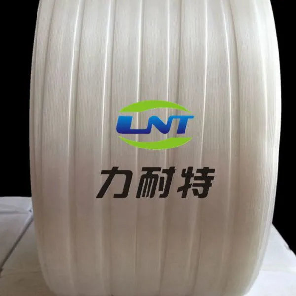供应聚酯纤维打包带专用打包扣——19mm