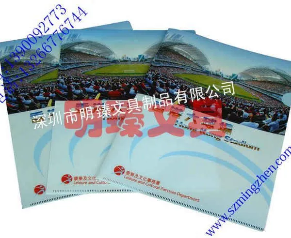 供应彩印L文件袋，精美二页夹，优质L形文件袋，E310文件套加工