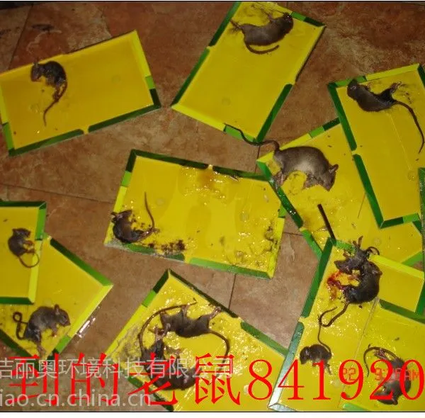 ��Ӧ�Ͼ�������˾���Ͼ�ɱ��˾