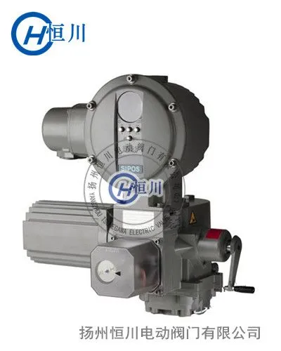 原装进口2SA5553-2CE00德国西博思执行器