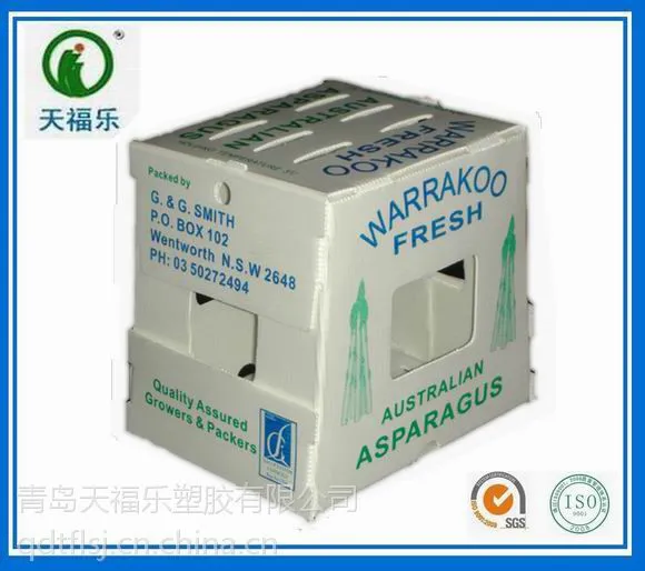 供应塑料中空板芦笋包装箱