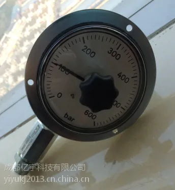 一级代理德国HAWE哈威DG1RF继电器