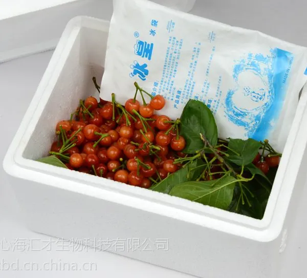 供应泡沫保温箱冷藏泡沫盒 冷链运输箱 便当保温 绿色农产品水果保鲜箱