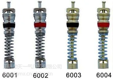 供应工程轮胎大芯腔气门芯6000系列